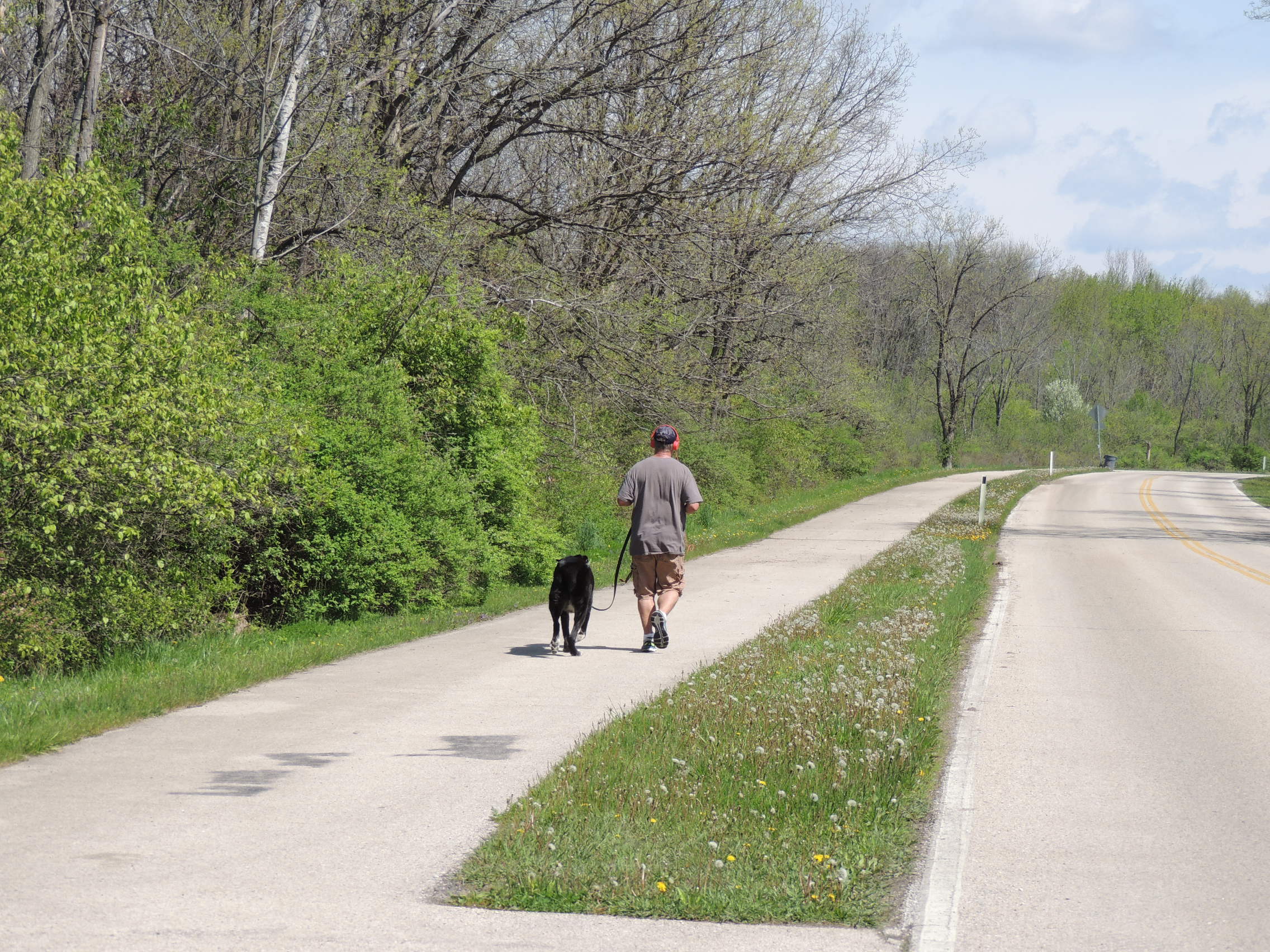 Dolphin Drive Trail Page 2