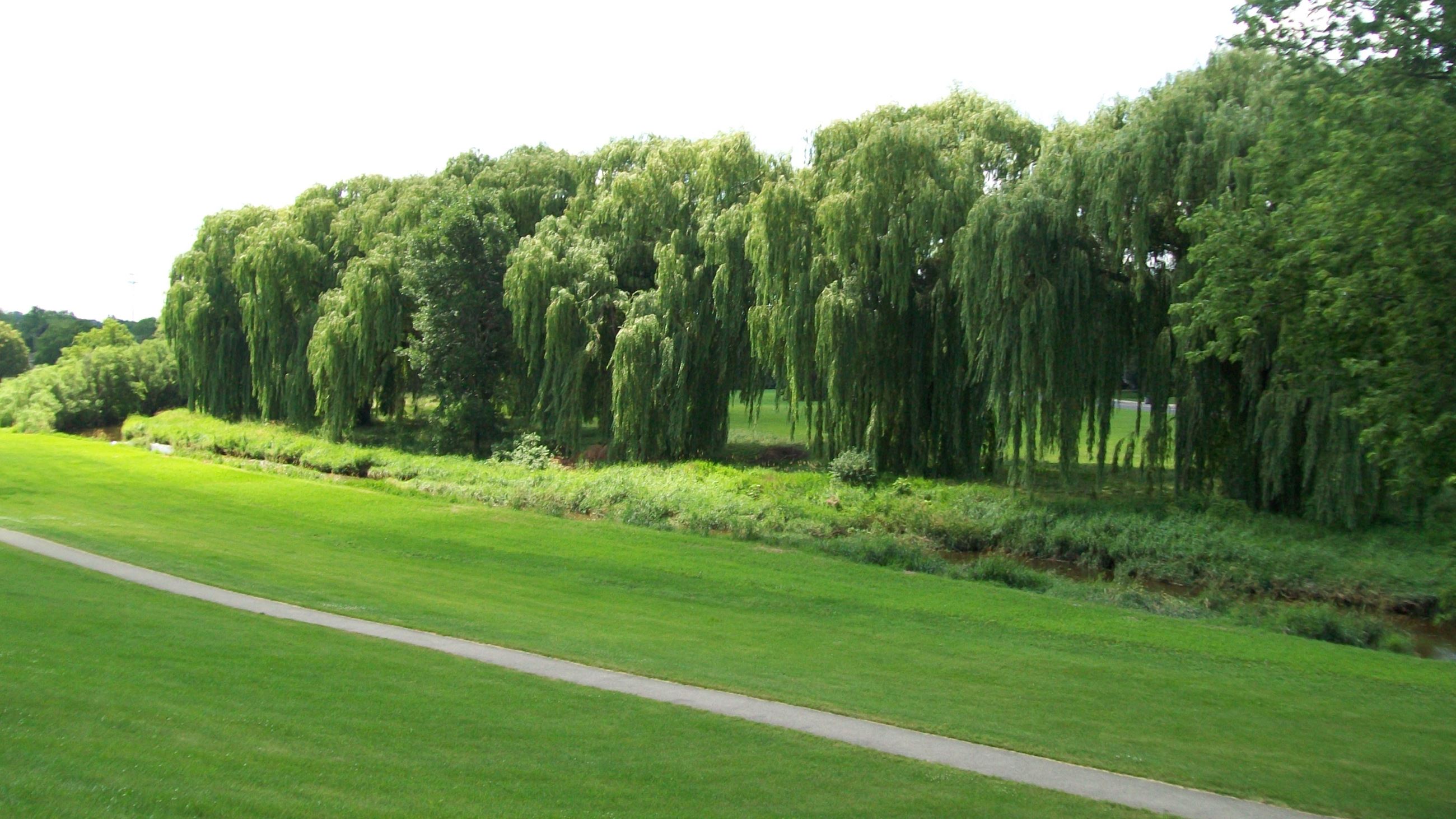 Menomonee River Parkway Trail Page 2