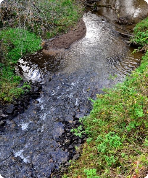 Plan your visit today!